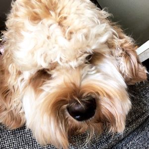 Meet your Posher, Ruby